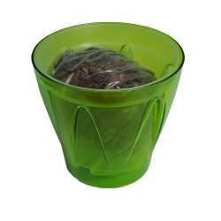 Набір для пересадки орхідеї Аркада 164 + субстракт салатовий (1шт.)