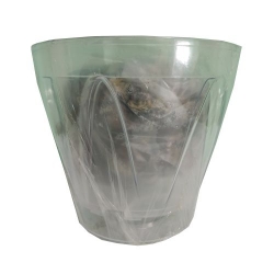 Набір для пересадки орхідеї Аркада 164 + субстрат прозорий (1шт.)