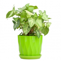 Горщик для квітів Карат з підставкою 13 ЧЕРВОНИЙ (1шт.)