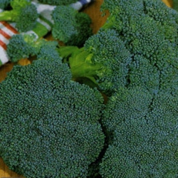 Капуста брокколі Вітамінна (1шт.)