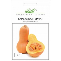 Тыква Батернат (1шт.)
