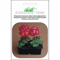 Пеларгонія 2о кольорова (1шт.)