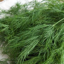 Кріп Грибовський (1шт.)