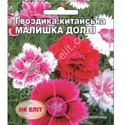 Гвоздика Китайська Малишка Долли (1шт.)