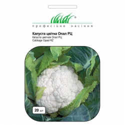 Капуста Цветная Опал (1шт.)