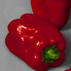 Перец Виктория (1шт.)