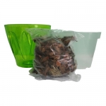 Набір для пересадки орхідеї Аркада 164 + субстракт салатовий (1шт.)