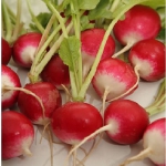 Редис Червоний З Б/К (1шт.)
