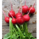 Редиска Рубін (1шт.)