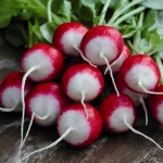 Редис Червоний З Б/К (1шт.)