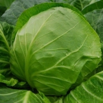 Капуста Росава (1шт.)